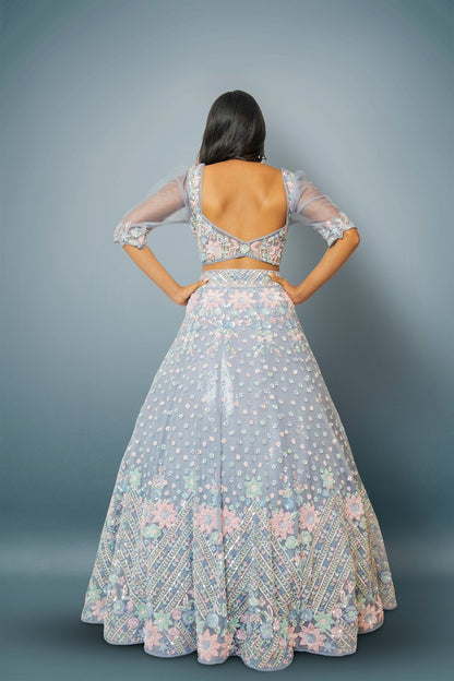 Light Blue Lehenga In OrganzaWith Hand Embroidered Floral Pattern