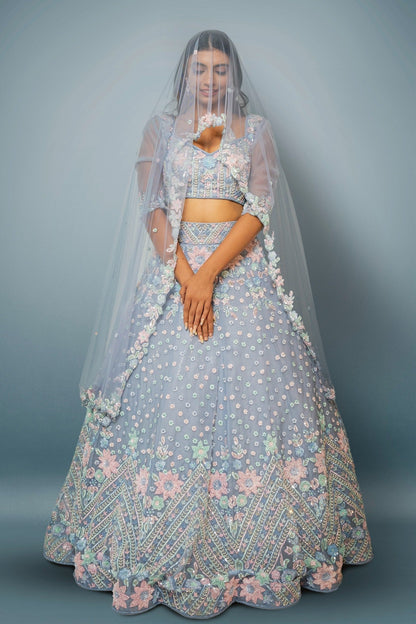 Light Blue Lehenga In OrganzaWith Hand Embroidered Floral Pattern