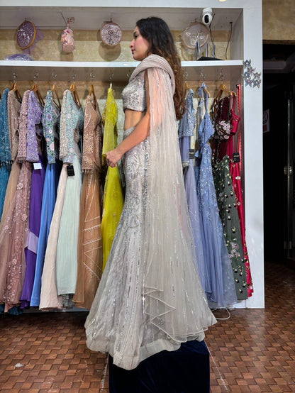 Grey silver fish cut Lehenga